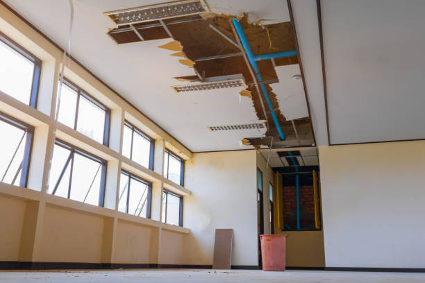 Water damage restoration experts in Ford Heights, IL