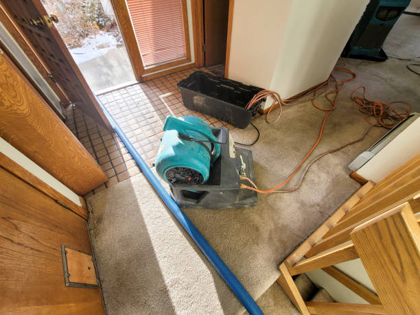 Best 24-hour water damage restoration  in Ford Heights, IL