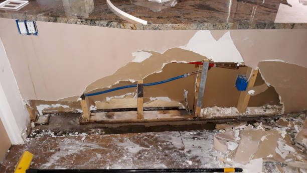 Best Fire Damage Restoration  in Ford Heights, IL