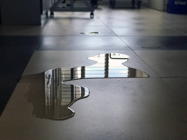 Best Flood restoration services  in Ford Heights, IL