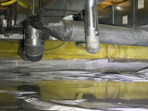 Best Water damage restoration near me  in Ford Heights, IL