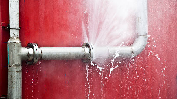 Best Commercial water damage restoration  in Ford Heights, IL
