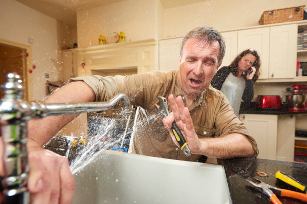 Best 24/7 water damage repair  in Ford Heights, IL